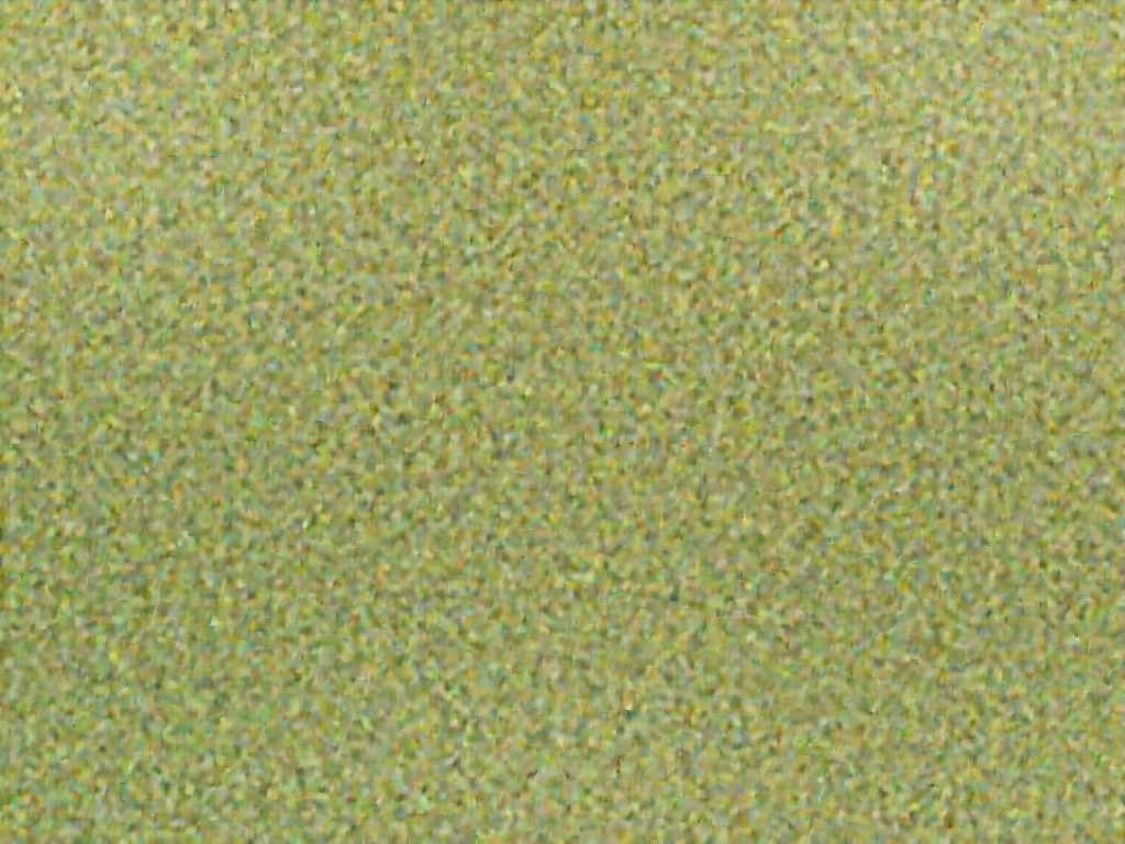 梅西致谢斯卡洛尼的栽培与支持